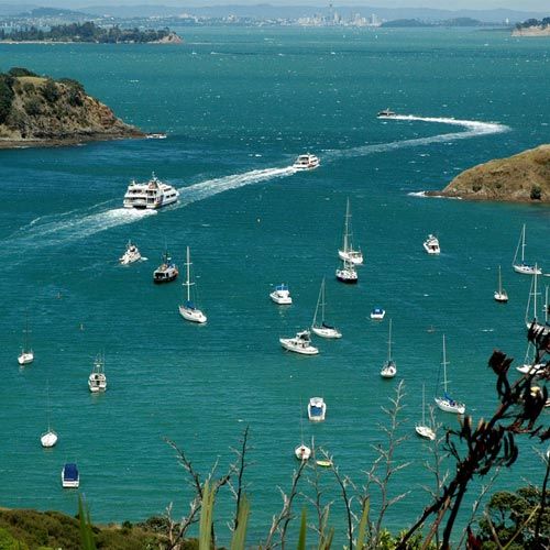 Waiheke ferry ride to five star accommodation Breakfast on the Beach